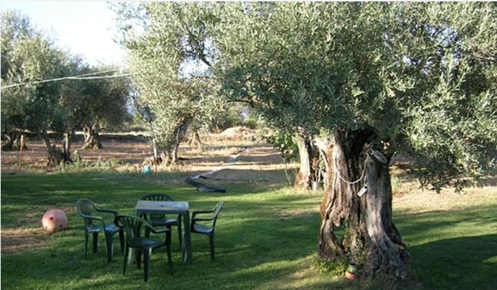 Hotel Rural Hojaranzos Tejeda de Tiétar Restaurant bilde